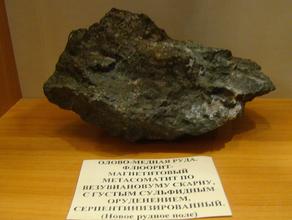 Везувиан, Магнетит, Серпентин, Скарн, Флюорит. Метасоматическая порода со сложным минеральным составом, представляющий собой оловянно-медную руду: серпентинизированный флюорит-магнетитовый метасоматит с густым сульфидным оруденением, образованный по везувиановому скарну.