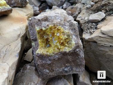 Сера самородная. Крупное гнездо в карбонатной породе, заполненное сростками кристаллов серы.