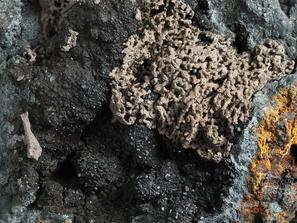 Коронадит. Хлораргирит, разновидность эмболит (объемные дендриты в правой части) и коронадит (мелкие черные кристаллы слева).
Образец №750