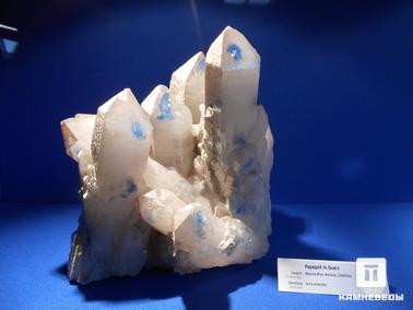 Кварц, Папагоит. Синий папагоит в крупных кристаллах кварца.
Фото сделано на минералогической выставке "Mineralientage München 2012" в Мюнхене.