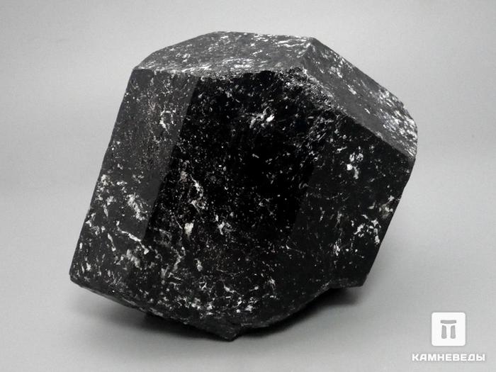Шерл (турмалин), кристалл двухголовик, около 9,2х8х6,5 см, 10-31/1, фото 1