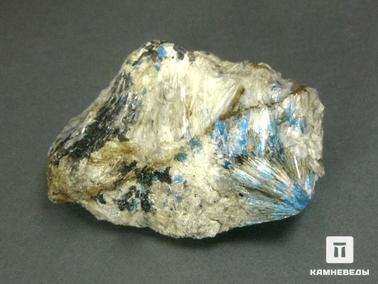 Линарит. Тремолит с линаритом, 6х3,5х1,5 см
