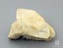 Апофиллит, кристалл на породе, 10-120/3, фото 1