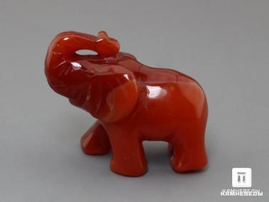 Сердолик. Слон из сердолика, 5х3,5х2 см