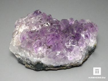 Аметист. Аметист, друза 7,2х4,9х3,2 см
