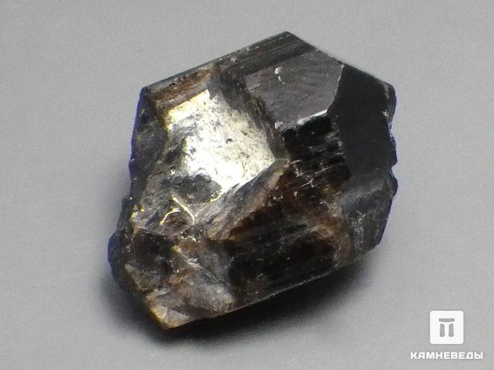 Касситерит, кристалл, 10-114, фото 1