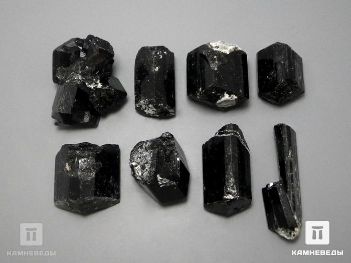 Шерл (чёрный турмалин), кристалл 2-2,5 см, 10-47, фото 2