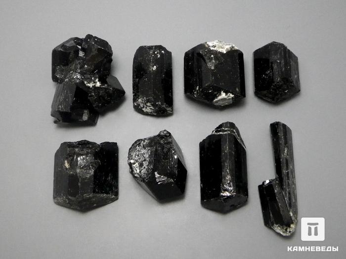 Шерл (чёрный турмалин), кристалл 2-2,5 см, 10-47, фото 1