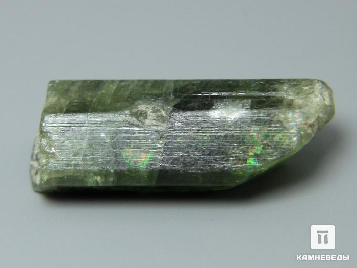 Диопсид, кристалл 1,8х0,8х0,6 см, 10-268/2, фото 5