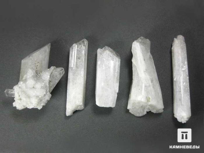 Данбурит, кристалл 3,5-5 см, 10-179/11, фото 1