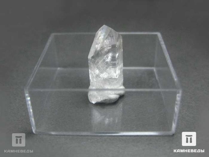 Данбурит, кристалл 1,5-2 см, 10-179/14, фото 2