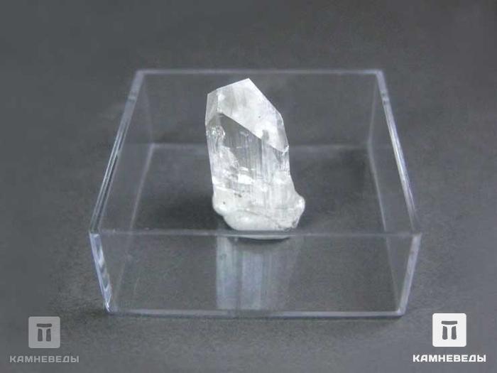 Данбурит, кристалл 1,5-2 см, 10-179/14, фото 6