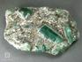 Берилл зелёный, кристаллы в сланце, 10-117/7, фото 4
