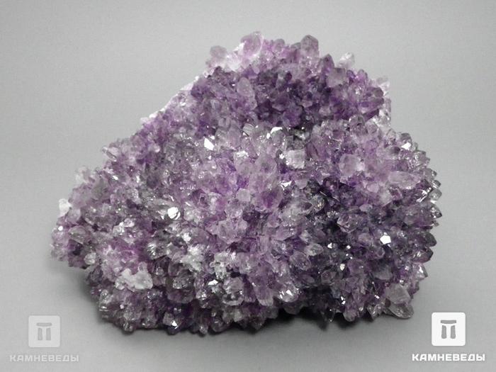 Аметист кактусовый, 13,5х11,5х7,5 см, 10-167/14, фото 2