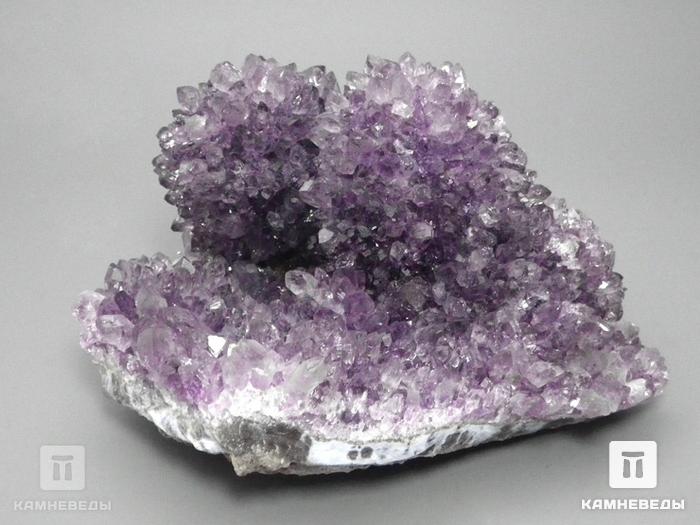 Аметист кактусовый, 13,5х11,5х7,5 см, 10-167/14, фото 3