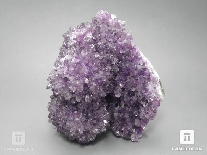 Аметист кактусовый, 13,5х11,5х7,5 см, 10-167/14, фото 4