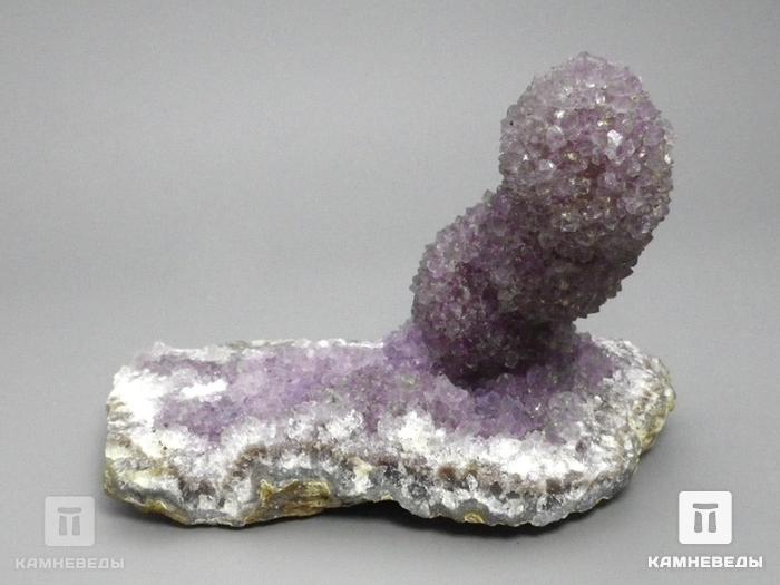 Друза сталактитовидного аметиста, 11х8х6,5 см, 10-167/12, фото 3