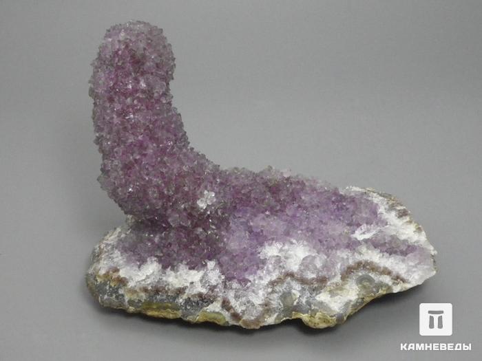 Друза сталактитовидного аметиста, 11х8х6,5 см, 10-167/12, фото 1