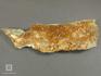 Гранат гроссуляр, 3,5-8,5 см, 10-158/2, фото 3