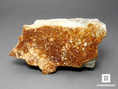 Гранат. Гранат гроссуляр, 8,5-9 см