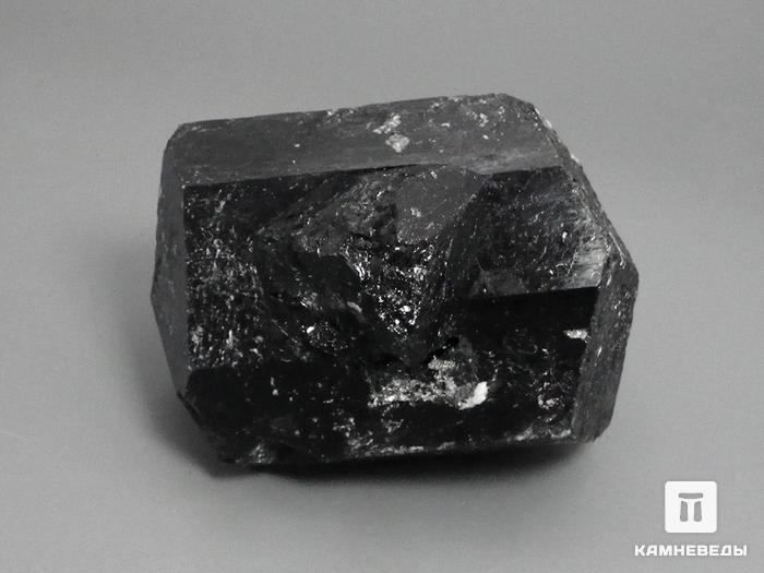 Шерл (турмалин), кристалл двухголовик, 6х5 см, 10-50/4, фото 1