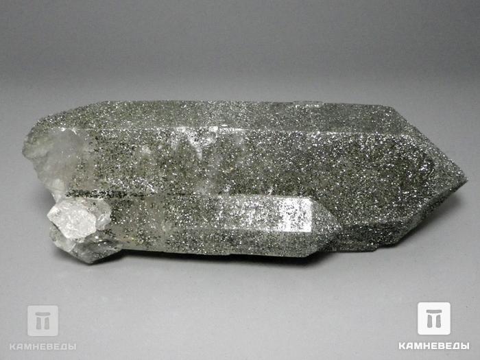Хлорит на горном хрустале (кварце), кристалл 14,5х5 см, 10-116/6, фото 2