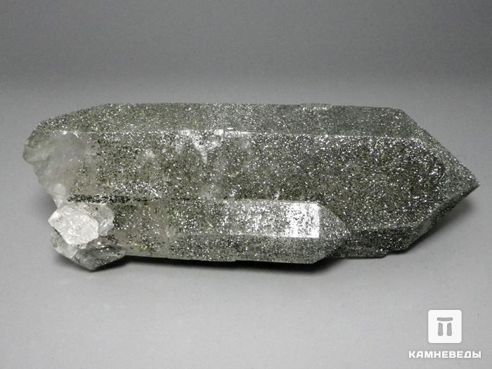 Хлорит на горном хрустале (кварце), кристалл 14,5х5 см, 10-116/6, фото 1