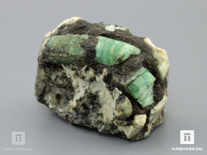 Берилл зелёный, кристалл в сланце, 10-117/3, фото 2