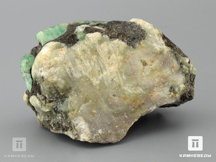 Берилл зелёный, кристалл в сланце, 10-117/3, фото 4