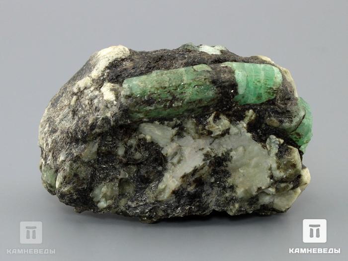 Берилл зелёный, кристалл в сланце, 10-117/3, фото 6