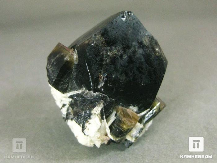 Турмалин полихромный с морионом, сросток кристаллов, 10-76/12, фото 3