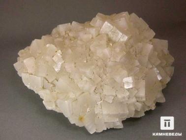 Галит. Галит, 20х13х7,8 см