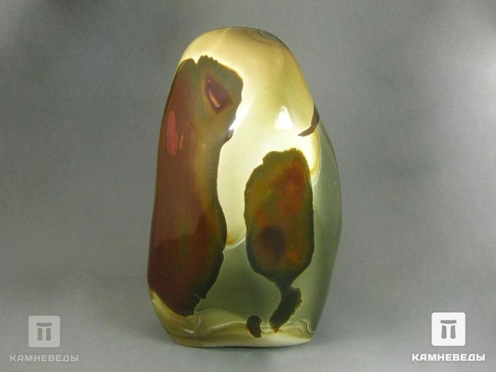 Яшма мадагаскарская, полировка 22х13х8,5 см, V-12, фото 6