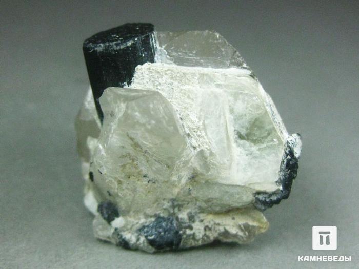 Эльбаит (турмалин) с мусковитом в кварце, 3,9х3,5х3,1 см, 10-76/16, фото 1