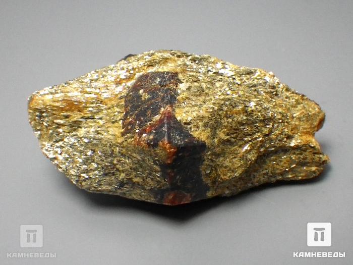 Гранат альмандин в мусковитовом сланце, 10-297, фото 2