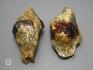 Гранат альмандин в мусковитовом сланце, 10-297, фото 3
