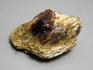 Гранат альмандин в мусковитовом сланце, 10-297, фото 1