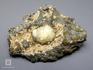 Гейландит-Ca, 5х4х1,5 см, 10-256/1, фото 2