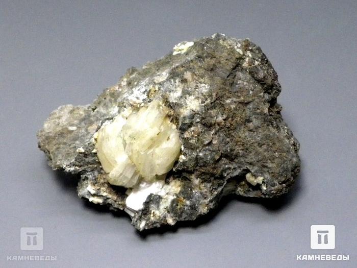 Гейландит-Ca, 5х4х1,5 см, 10-256/1, фото 3