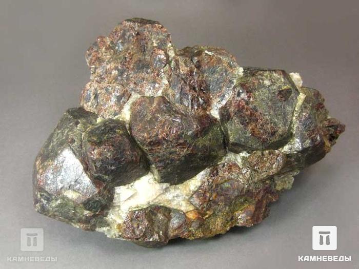 Гранат (альмандин) в кварце, 15х10х5,4 см, 10-158/17, фото 2