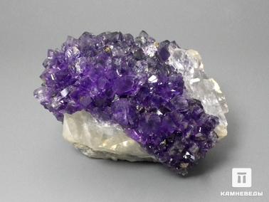 Аметист. Аметист, друза 6,1х5,8х3,9 см