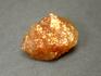 Солнечный камень (гелиолит), 2-2,5 см, 10-360, фото 1