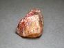 Солнечный камень (гелиолит), 2,3х2х1,5 см, 10-360/2, фото 1
