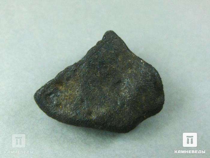 Метеорит Челябинск LL5, 4,53 г, 10-23/9, фото 2
