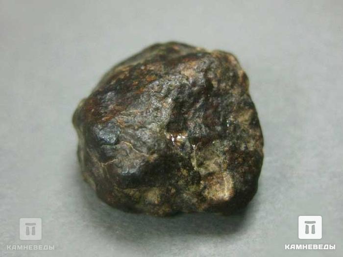 Метеорит NWA 869, 10-110/4, фото 2