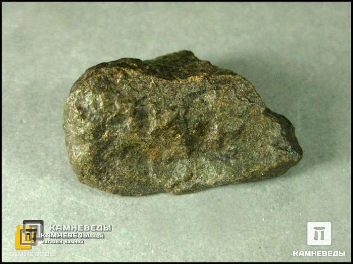 Метеорит NWA каменный (хондрит), 3,5х2,5 см, 10-44/1, фото 3