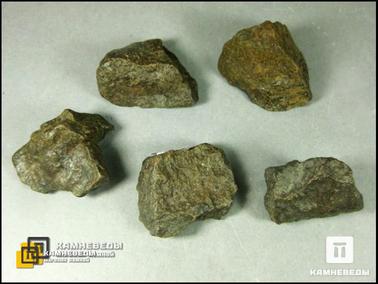 Метеориты. Метеорит NWA каменный (хондрит), 3,5х2,5 см
