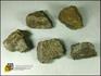 Метеорит NWA каменный (хондрит), 3,5х2,5 см, 10-44/1, фото 1