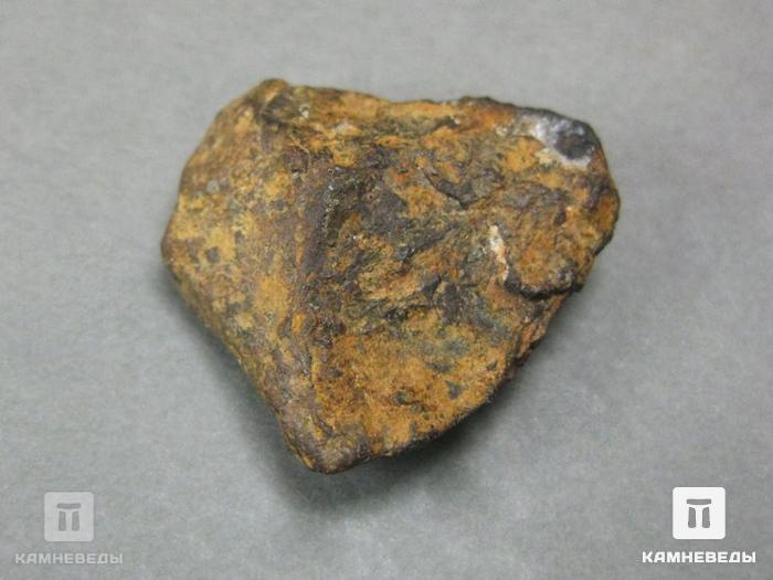 Метеорит Agoudal железный, 2,1х2х0,8 см, 10-184/4, фото 2