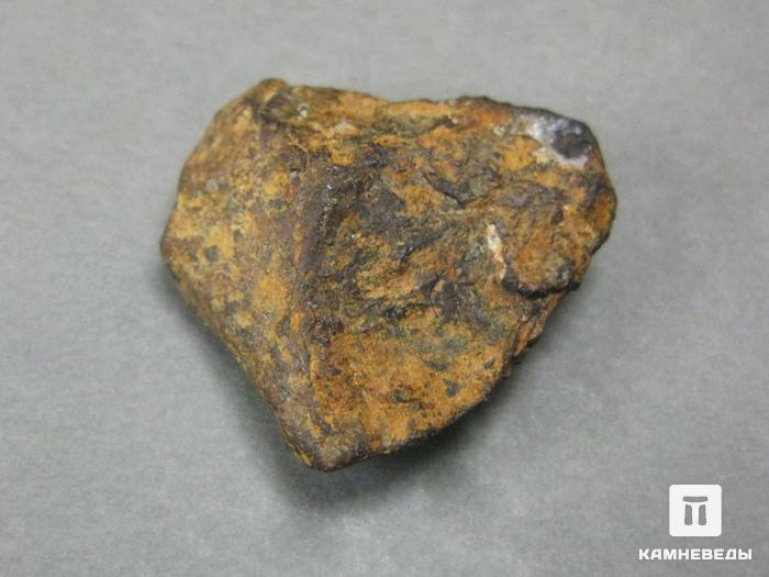 Метеорит Agoudal железный, 2,1х2х0,8 см, 10-184/4, фото 1